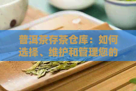 普洱茶存茶仓库：如何选择、维护和管理您的茶叶存空间以确保品质和口感