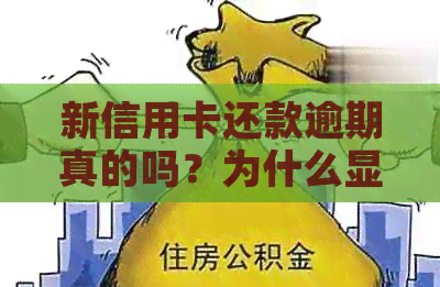 新信用卡还款逾期真的吗？为什么显示已经还款了？