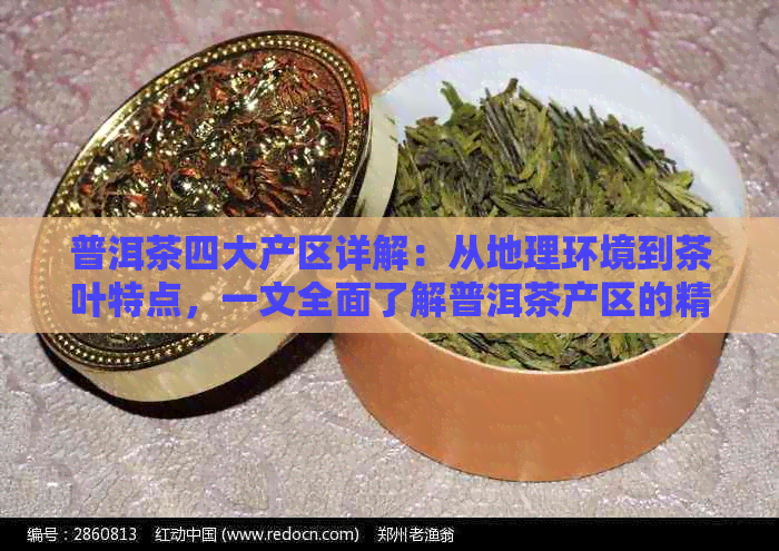 普洱茶四大产区详解：从地理环境到茶叶特点，一文全面了解普洱茶产区的精华