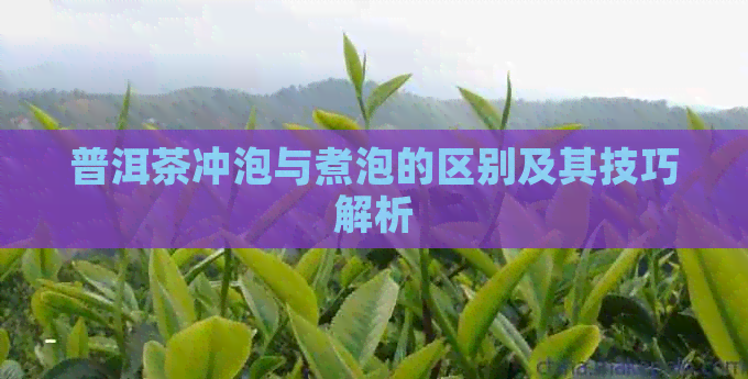 普洱茶冲泡与煮泡的区别及其技巧解析