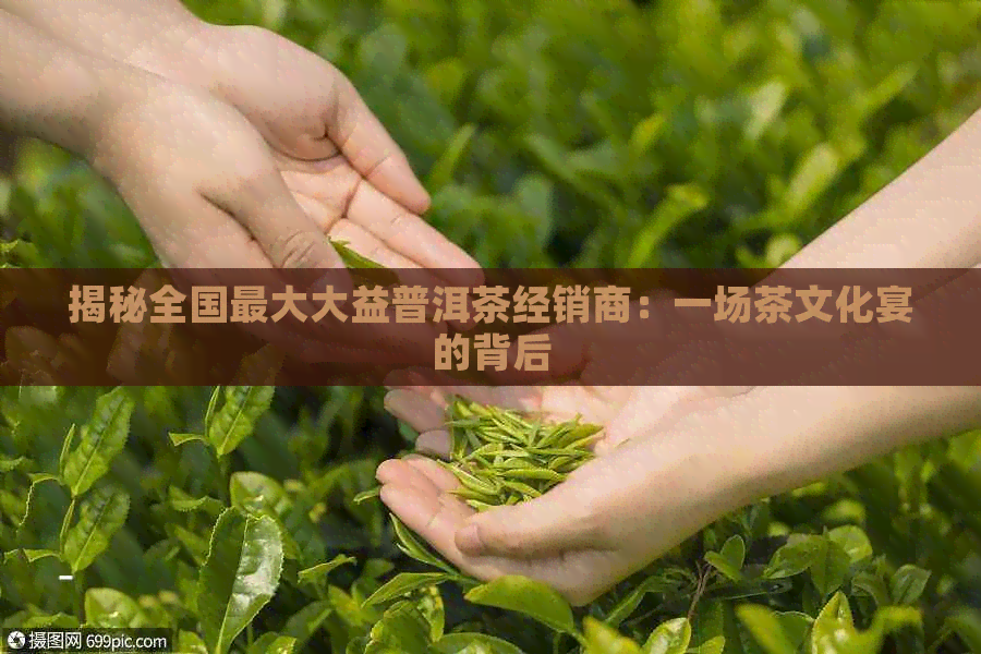 揭秘全国更大大益普洱茶经销商：一场茶文化宴的背后