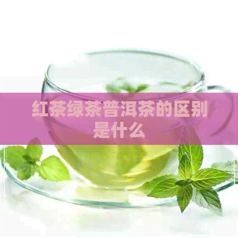 红茶绿茶普洱茶的区别是什么