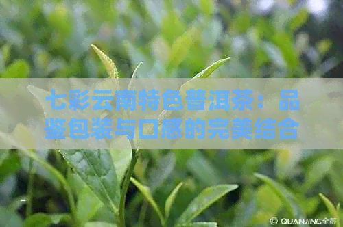 七彩云南特色普洱茶：品鉴包装与口感的完美结合