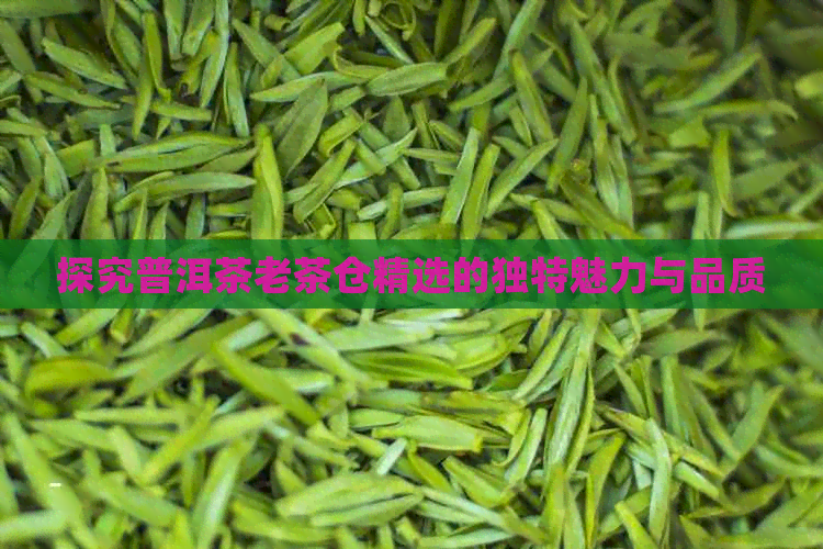 探究普洱茶老茶仓精选的独特魅力与品质