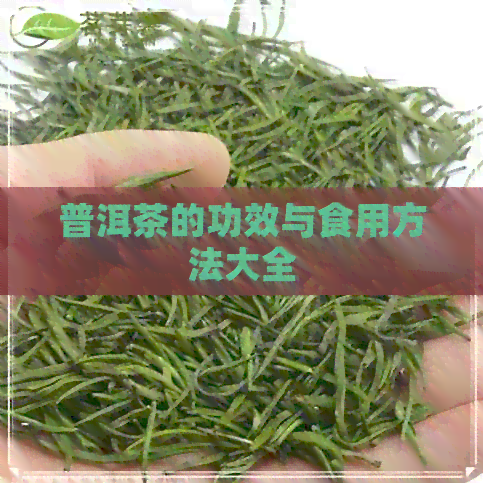 普洱茶的功效与食用方法大全