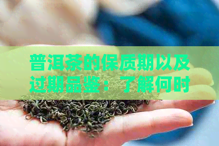 普洱茶的保质期以及过期品鉴：了解何时不宜再饮用，如何正确保存普洱茶