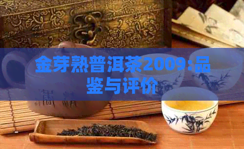 金芽熟普洱茶2009:品鉴与评价