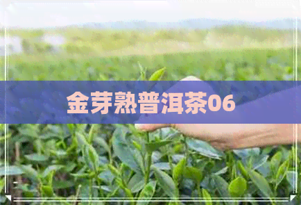 金芽熟普洱茶06