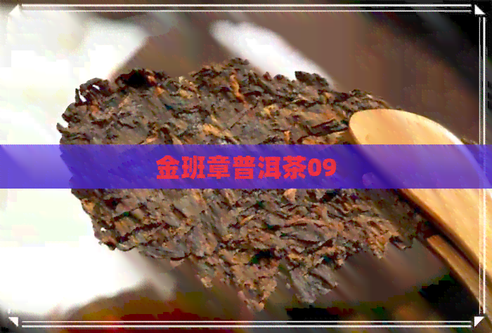 金班章普洱茶09