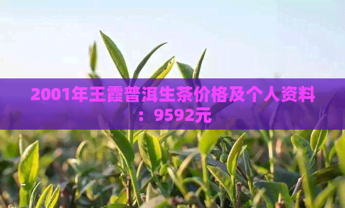 2001年王霞普洱生茶价格及个人资料：9592元