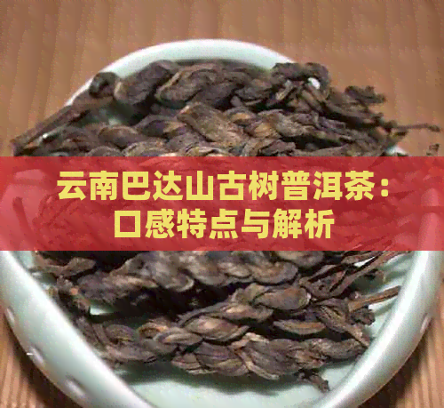 云南巴达山古树普洱茶：口感特点与解析