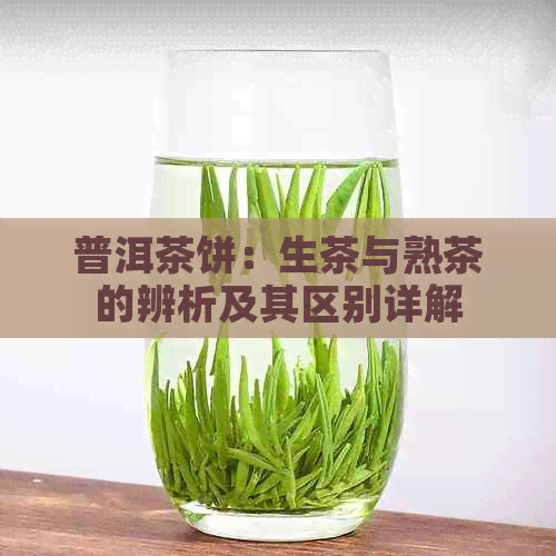 普洱茶饼：生茶与熟茶的辨析及其区别详解