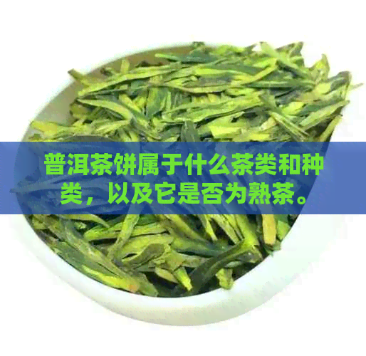 普洱茶饼属于什么茶类和种类，以及它是否为熟茶。