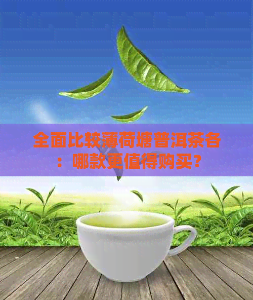 全面比较薄荷塘普洱茶各：哪款更值得购买？