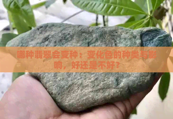 哪种翡翠会变种：变化色的种类与影响，好还是不好？