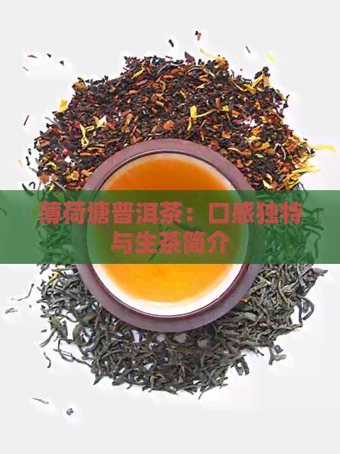 薄荷塘普洱茶：口感独特与生茶简介