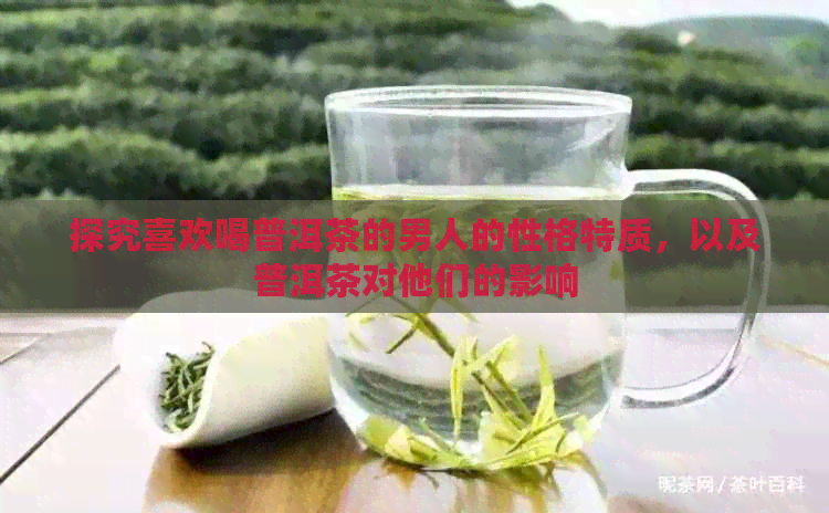 探究喜欢喝普洱茶的男人的性格特质，以及普洱茶对他们的影响