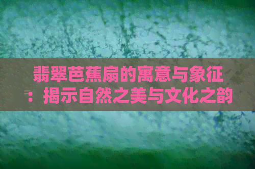 翡翠芭蕉扇的寓意与象征：揭示自然之美与文化之韵