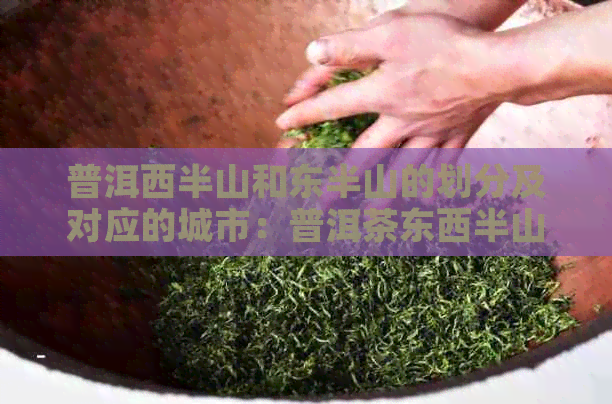 普洱西半山和东半山的划分及对应的城市：普洱茶东西半山。