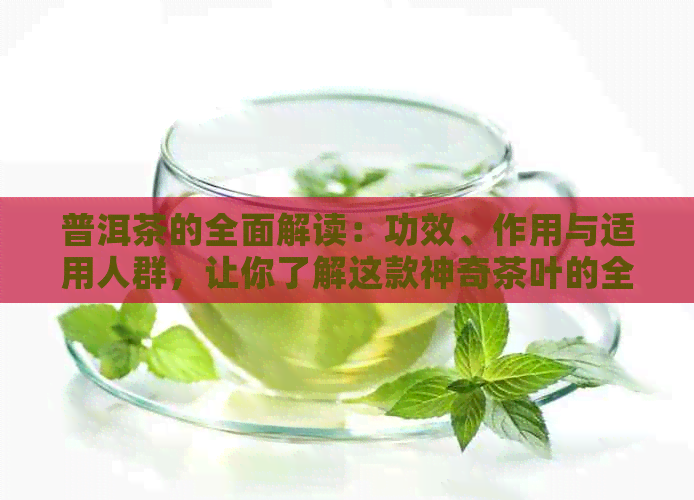 普洱茶的全面解读：功效、作用与适用人群，让你了解这款神奇茶叶的全部秘密