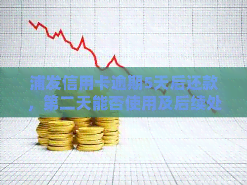 浦发信用卡逾期5天后还款，第二天能否使用及后续处理流程详解