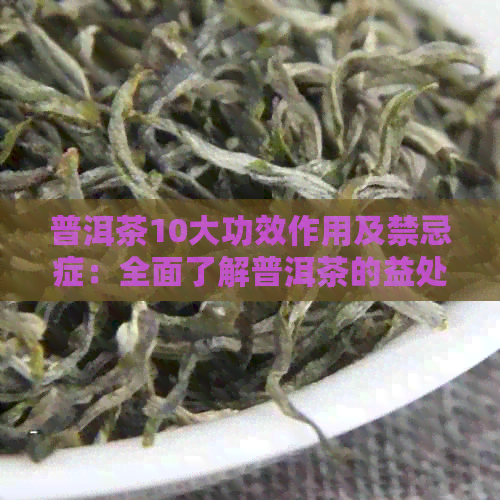 普洱茶10大功效作用及禁忌症：全面了解普洱茶的益处与潜在风险