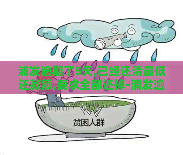 浦发逾期了5天,已经还清更低还款额,要求全部还掉-浦发逾期5天还了更低还款第二天可以用吗