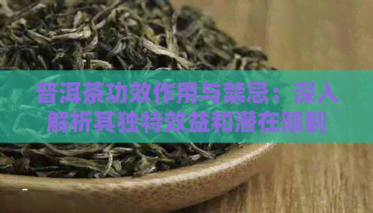 普洱茶功效作用与禁忌：深入解析其独特效益和潜在限制