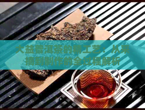 大益普洱茶的精工艺：从采摘到制作的全过程解析