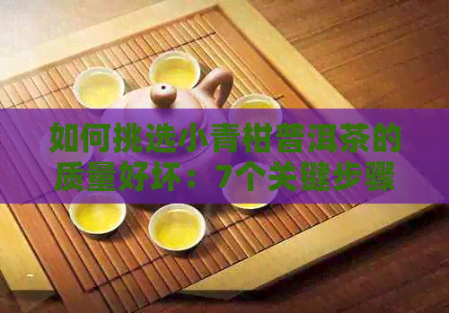 如何挑选小青柑普洱茶的质量好坏：7个关键步骤