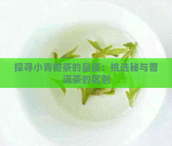 探寻小青柑茶的品质：挑选秘与普洱茶的区别