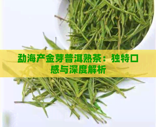 勐海产金芽普洱熟茶：独特口感与深度解析