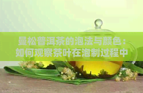 曼松普洱茶的泡法与颜色：如何观察茶叶在泡制过程中的变化？