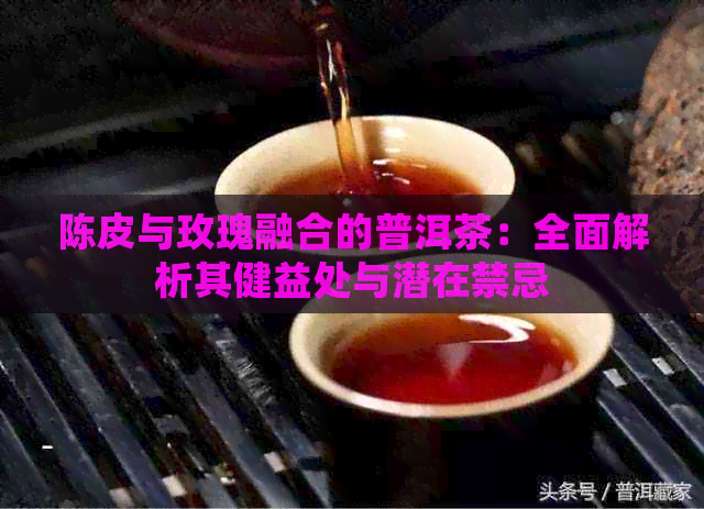 陈皮与玫瑰融合的普洱茶：全面解析其健益处与潜在禁忌