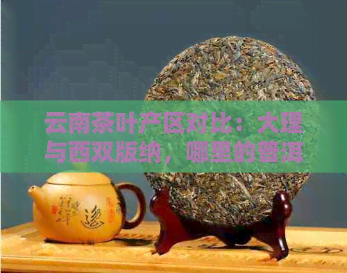 云南茶叶产区对比：大理与西双版纳，哪里的普洱茶更正宗？