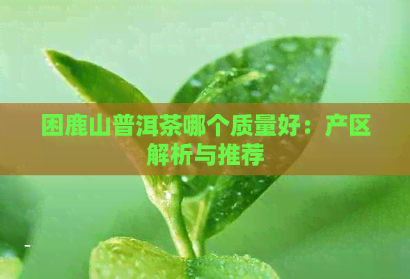 困鹿山普洱茶哪个质量好：产区解析与推荐