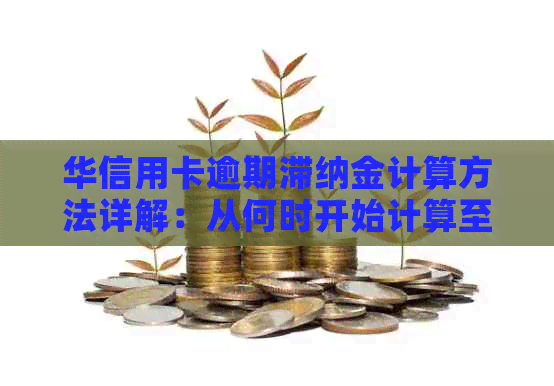 华信用卡逾期滞纳金计算方法详解：从何时开始计算至应还总额全解析