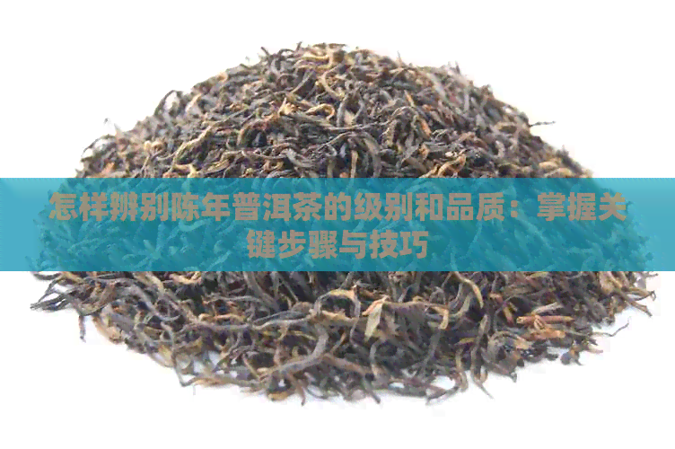 怎样辨别陈年普洱茶的级别和品质：掌握关键步骤与技巧