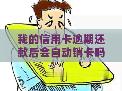 我的信用卡逾期还款后会自动销卡吗？