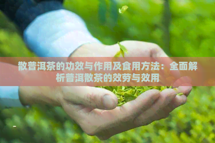 散普洱茶的功效与作用及食用方法：全面解析普洱散茶的效劳与效用