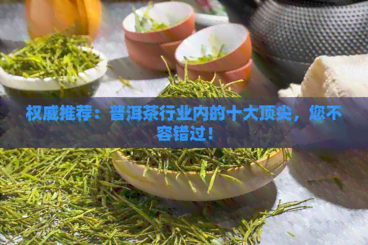 权威推荐：普洱茶行业内的十大顶尖，您不容错过！