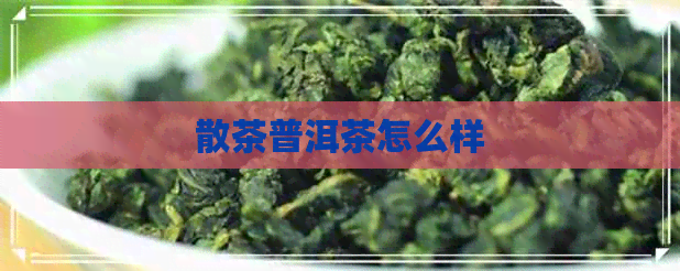 散茶普洱茶怎么样