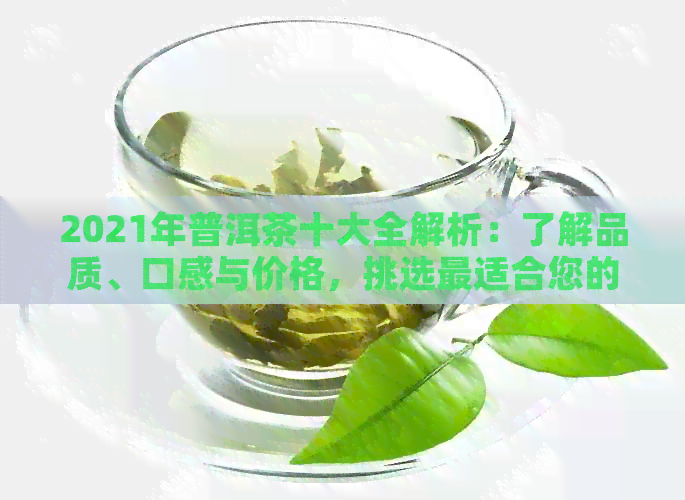 2021年普洱茶十大全解析：了解品质、口感与价格，挑选最适合您的茶叶