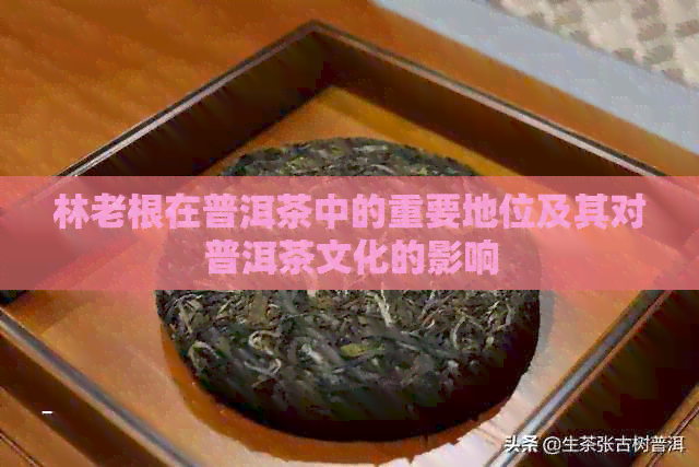 林老根在普洱茶中的重要地位及其对普洱茶文化的影响