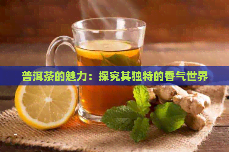 普洱茶的魅力：探究其独特的香气世界