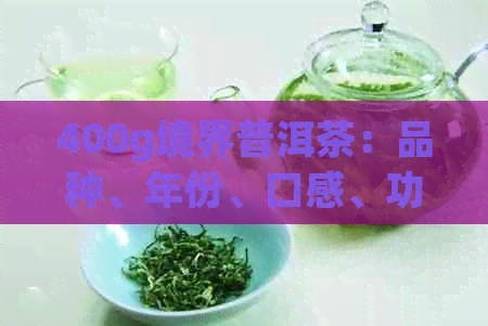 400g境界普洱茶：品种、年份、口感、功效等一应俱全的全面解读与购买指南