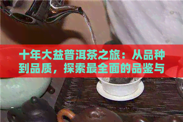 十年大益普洱茶之旅：从品种到品质，探索最全面的品鉴与购买指南