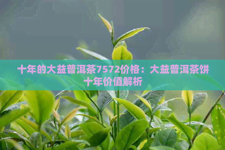 十年的大益普洱茶7572价格：大益普洱茶饼十年价值解析