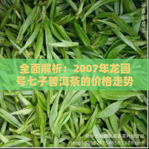 全面解析：2007年龙园号七子普洱茶的价格走势、品质特点及收藏价值