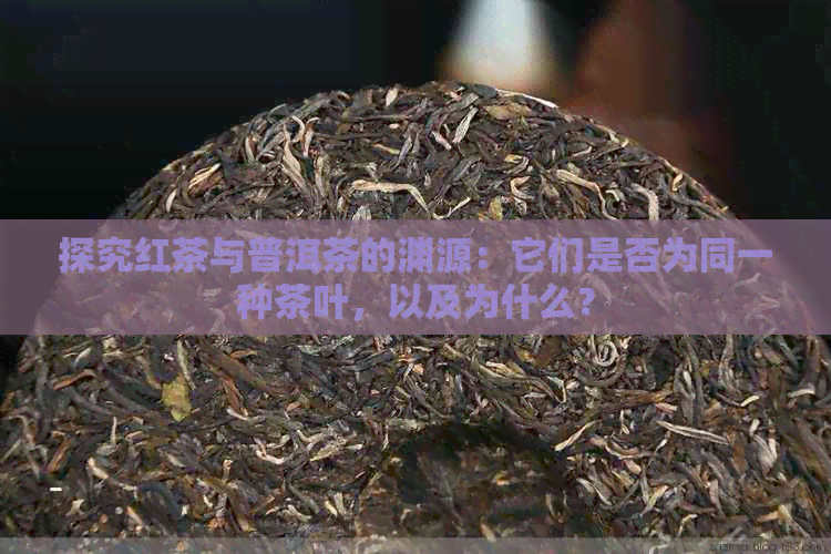 探究红茶与普洱茶的渊源：它们是否为同一种茶叶，以及为什么？